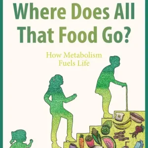 Where Does All That Food Go?