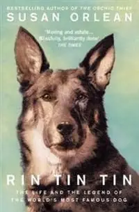 Kampanj Rin Tin Tin