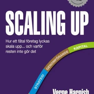 SCALING UP - Hur ett fåtal företag lyckas skala upp... och varför resten inte gör det