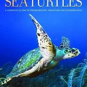Sea Turtles