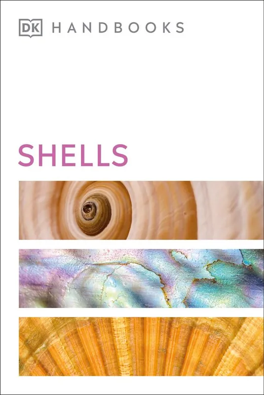 Shells - Begagnad