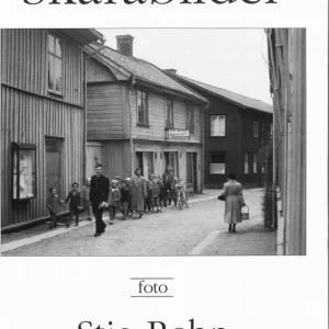 Fynd Skarabilder
