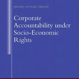 Corporate Accountability under Socio-Economic Rights