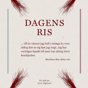Lägg i varukorgen Dagens ris